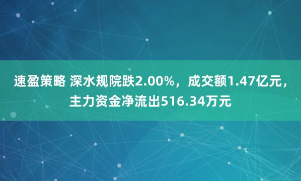 速盈策略 深水规院跌2.00%,成交额1.47亿元,主力资金净流出516.34万元