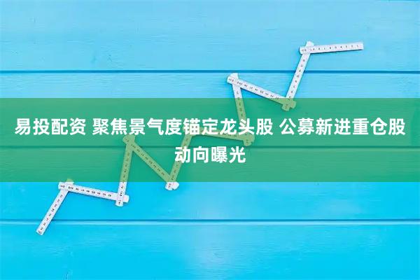 易投配资 聚焦景气度锚定龙头股 公募新进重仓股动向曝光